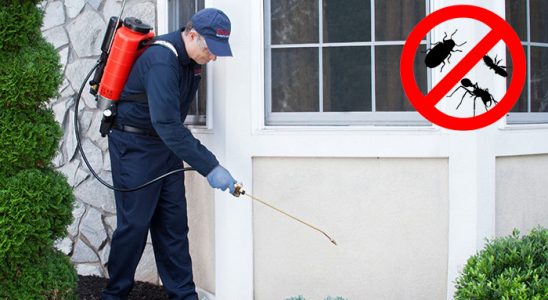 Arhavi Bit İlaçlama böcek ilaçlama ve haşere kontrolü — ilaclama-tr.com